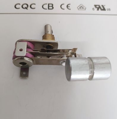 Contrôle numérique pratique de la température pour le poulet Rotisserie Pan à 50-250 C
