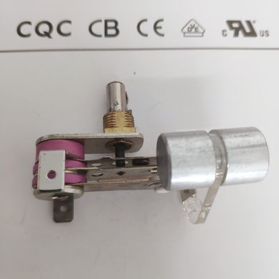 Contrôle numérique pratique de la température pour le poulet Rotisserie Pan à 50-250 C