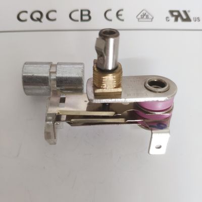 Contrôle numérique pratique de la température pour le poulet Rotisserie Pan à 50-250 C