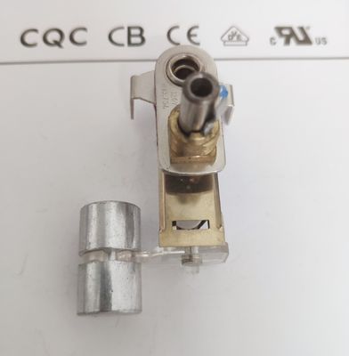 Contrôle numérique pratique de la température pour le poulet Rotisserie Pan à 50-250 C
